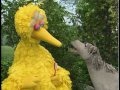 Sesame Street Big Bird S Teeth Talk