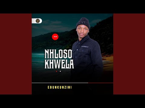 iZindlu Zodaka (feat. Shenge Wasehlalankosi)