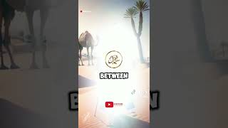 Download lagu Part 5| The Story of Salman Al Farisi mp3