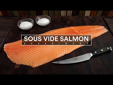 Sous Vide SALMON Experiment!
