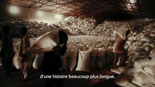 DEAD DONKEYS FEAR NO HYENAS - B.A