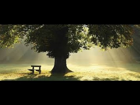 TuoQ - Zakazany Owoc [Intro - Fala Prawdy]