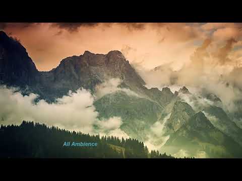 Deep DUB TECHNO || Selection 003 ||