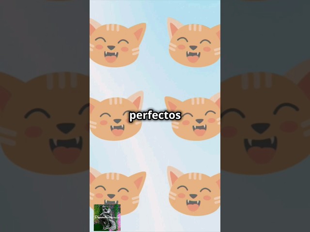 Vídeo relacionado con Anime Kawaii Chica Otaku Amante De Los Gatos Manga Japonés Camiseta