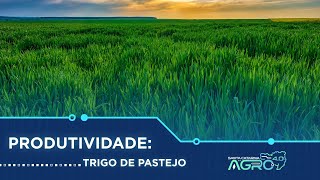 Miniatura do vídeo