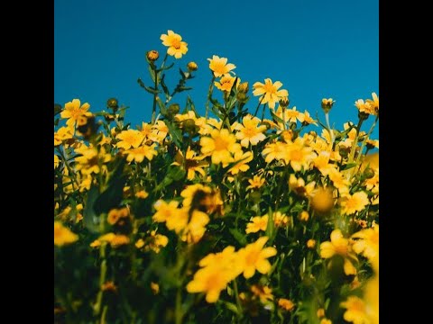 (FREE) JeanJass x Keroué x Grünt BOOMBAP type beat - 'Le Soccer'