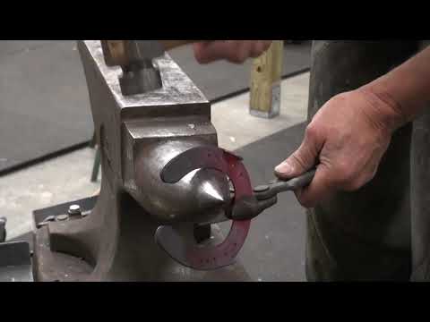 Shape and Fit on Distorted Hoof Capsule