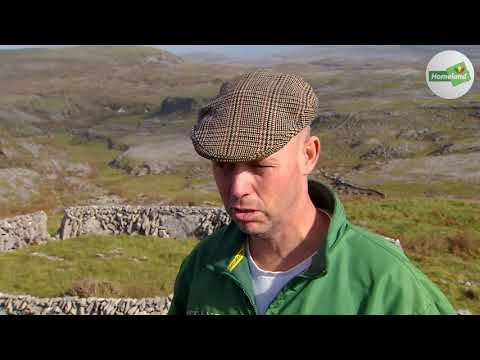 Farming on the Burren: 'I wouldn't be at anything else'