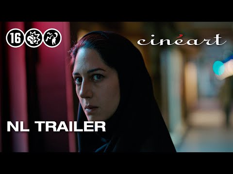 عنکبوت مقدس