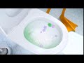Overpromise DuckScience Duck Short Ver