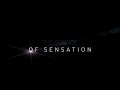 THX The Science Of Sensation Certified DVD UK VHS Pitch