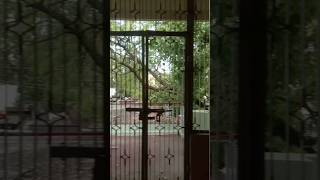 Download lagu https://youtu.be/AygSkhHk7rkhttps://images.app.goo.gl/cUQyfj5DWQq4k7Bq9 mp3 Download lagu https://youtu.be/AygSkhHk7rkhttps://images.app.goo.gl/cUQyfj5DWQq4k7Bq9 mp3
