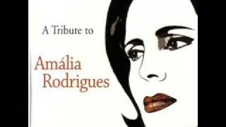 Terra D'Agua Se deixas de ser quem e