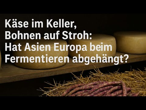 Miso statt Mozzarella: Warum Sojabohnen die wahren Superhelden sind