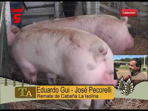 EDUARDO GUI   JOSE PECORELLI