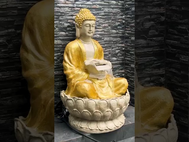Video 1