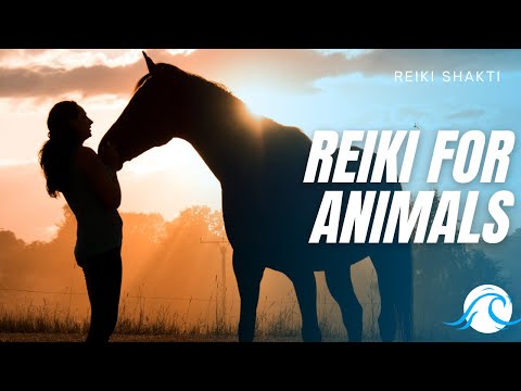 Reiki For All Animals - Powerful Energy Healing