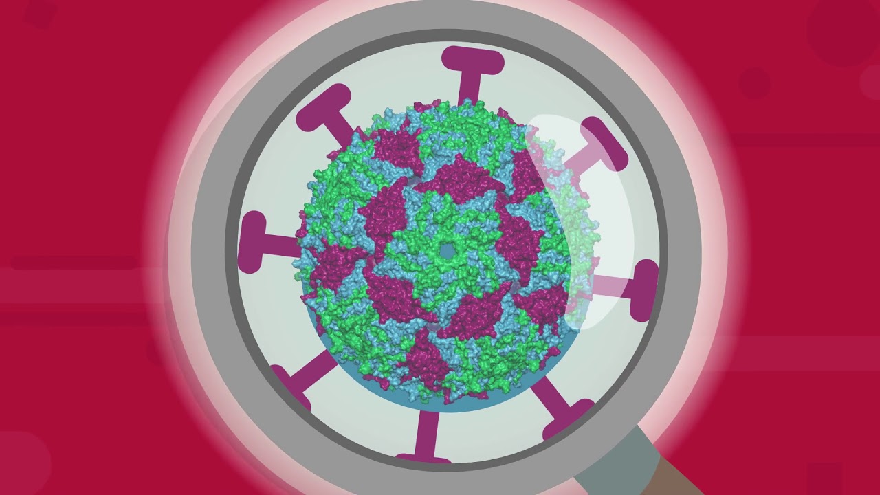 Classroom Cleaning Checklist