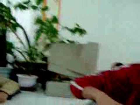 Razbunarea lui Burca