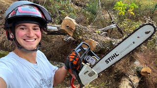 Tornado Cleanup at the Shed House
