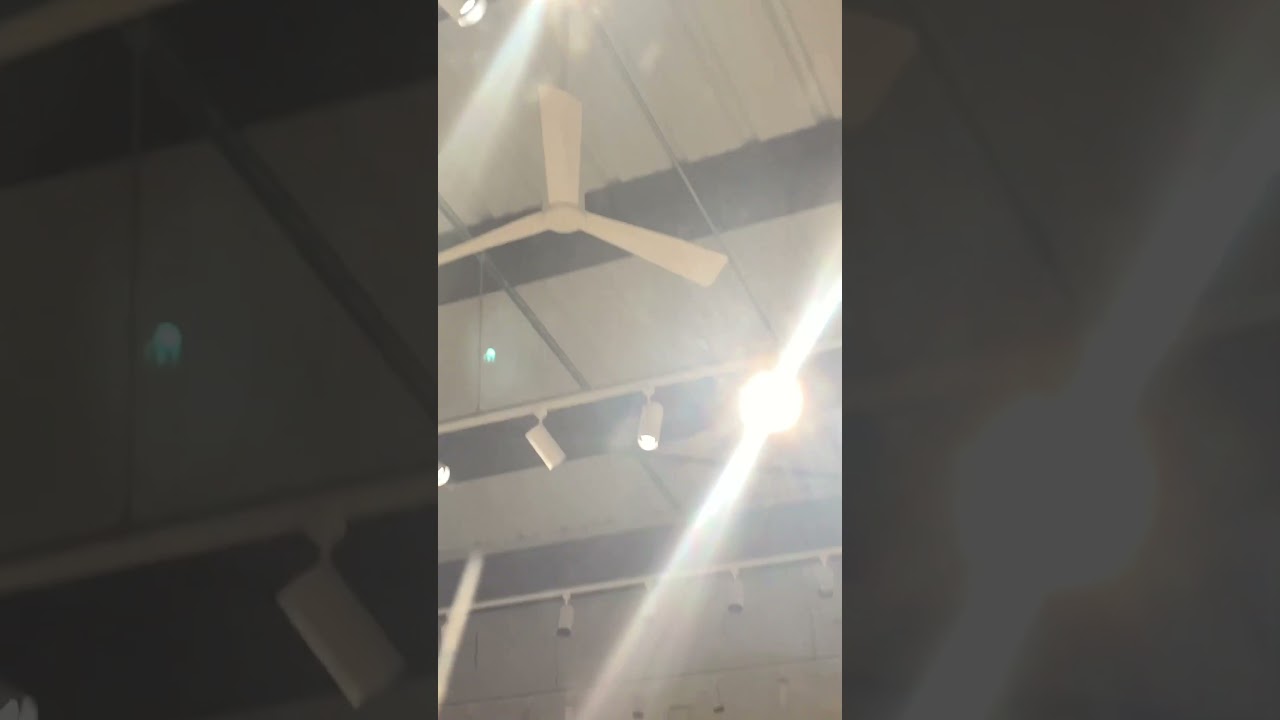 Big @$$ fan and Minka Aire simple fans at a art gallery #shorts