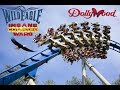 Wild Eagle At Dollywood