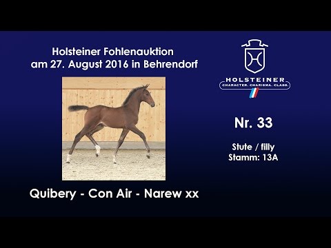 Holsteiner Fohlenauktion 2016 in Behrendorf - Nr. 33 v. Quibery - Con Air