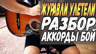 Песня журавли летели, разбор, аккорды, цыган на нарах. далеко далеко журавли улетели