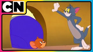 Download lagu Tom and Jerry 😺🐭| Tom’s Noisy Revenge on Spike! 🔊 | Cat and Mouse | Compilation |  @cnindia mp3 Download lagu Tom and Jerry 😺🐭| Tom’s Noisy Revenge on Spike! 🔊 | Cat and Mouse | Compilation |  @cnindia mp3