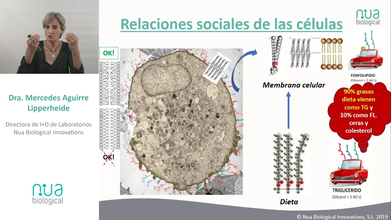 Watch DHA y EPA Beneficios y recomendaciones de los principales omega-3 marinos Now DHA y EPA Beneficios y recomendaciones de los principales omega-3 marinos