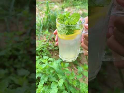 Cara membuat minuman lidah buaya #lidahbuaya #aloevera #shorts