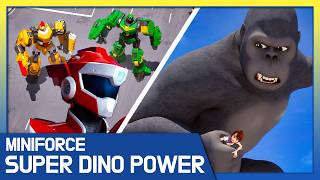 Download lagu Giant Animals Escape The Zoo 🦖 Best Episodes of Miniforce Dino Super Power: Saga of the Dino Rangers mp3 Download lagu Giant Animals Escape The Zoo 🦖 Best Episodes of Miniforce Dino Super Power: Saga of the Dino Rangers mp3