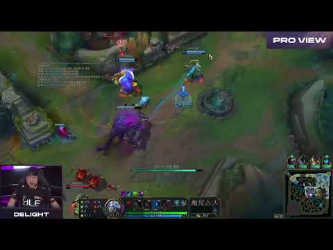 Delight Pro View | DK vs HLE | LCK 2024 Spring