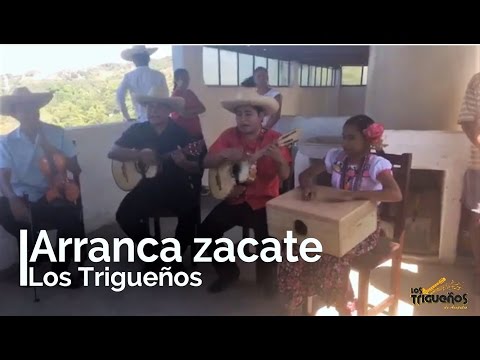 Arranca Zacate - Los Trigueños de Acapulco