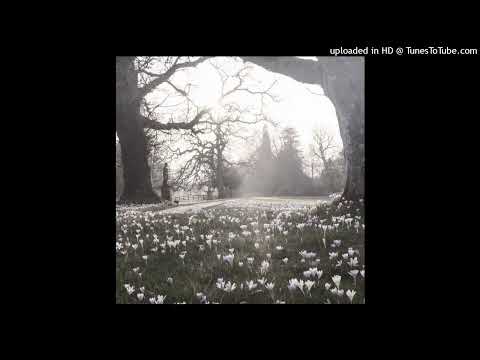 [free] cocaine krueger + cxxlion + slick killa type beat "supa bump 3" @sle3ep1x