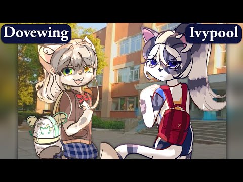 Warrior Cats in High School