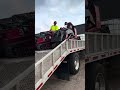 Load Them Up Toro Dingo