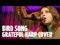 "Bird Song" (Grateful Dead Harp Cover) - Mikaela Davis and Southern Star Live | Relix