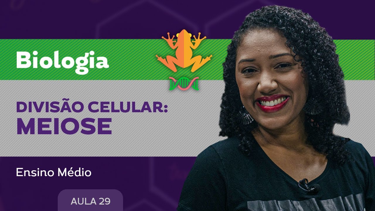 Divisão celular: meiose - Biologia - Ensino Médio