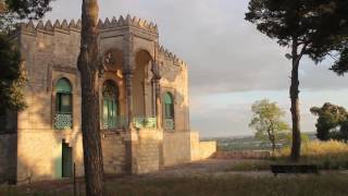 Fasano: la bellezza.