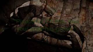 Cursive - Driftwood: A Fairy Tale