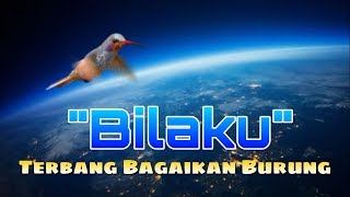 Download lagu Story WA Status WA keren Kekinian Terasa Terbang bagaikan burung mp3