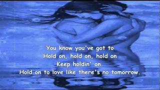 Gary Moore - Hold On to Love (Lyrics)