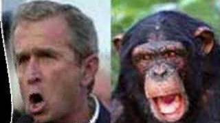 Bush - monkey faces