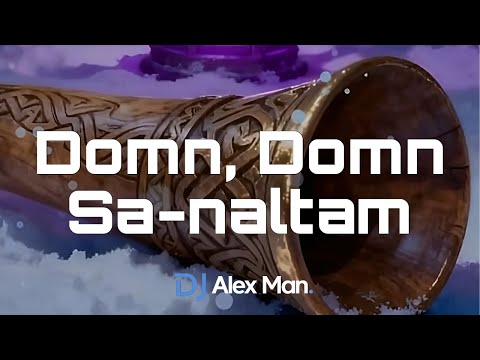 DJ Alex Man - Domn, Domn Sa-naltam | Cover 🇷🇴 | Colind traditional in haine moderne 🔥