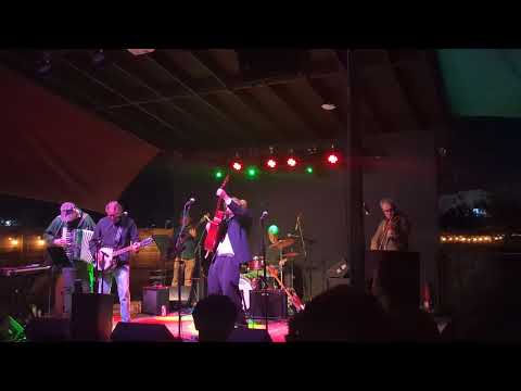 The Brogues - If I Should Fall From Grace (Radio East, 12/20/2024)