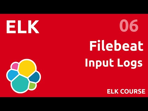 Filebeat the input logs ELK 06