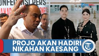 Pesta Rakyat Pernikahan Kaesang Pangarep Erina Gudono Akan Diramaikan Ribuan Relawan Jokowi