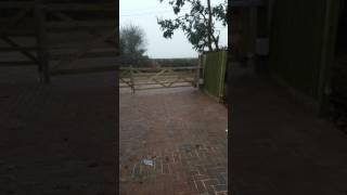 Album cover: Electric Gates.