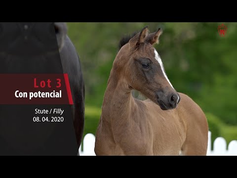 03 Con potencial Stute v. Conthargos - Diarado